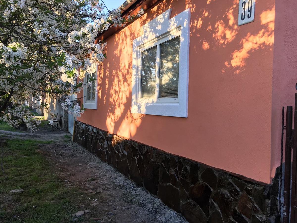Sadyba U Mykhaila Koson Exterior foto